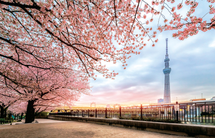 首都圏研修旅行　画像1